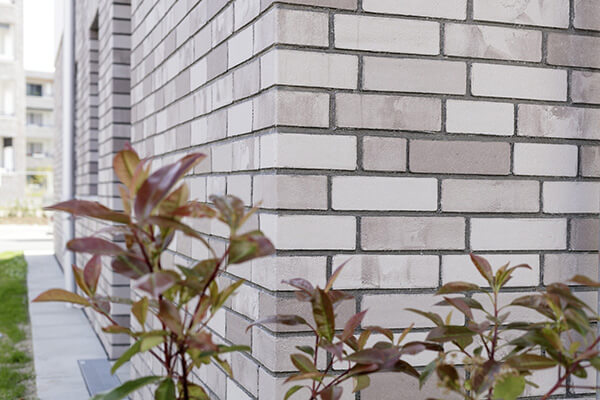 Original Meldorfer® -