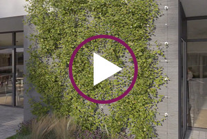 Capatect Green Twist 672