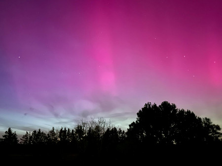 Kosmische Lichter in einem Farbverlauf von Lila bis Pink erhellen den Nachthimmel über der Silhouette mehrerer Bäume