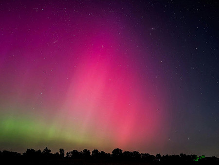Kosmische Lichter erhellen den Nachthimmel in Gelb, Pink und Blau, darunter eine dunkle  Waldlandschaft