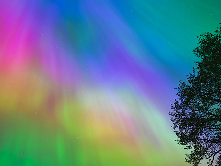  Lebhafte Farben der kosmischen Lichter am Nachthimmel über der Silhouette eines Baumes