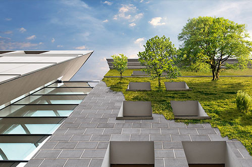 Begrüntes Dach mit Bäumen und Pflanzen – Beitrag zur urbanen Begrünung und Verbesserung des CO₂-Footprints.