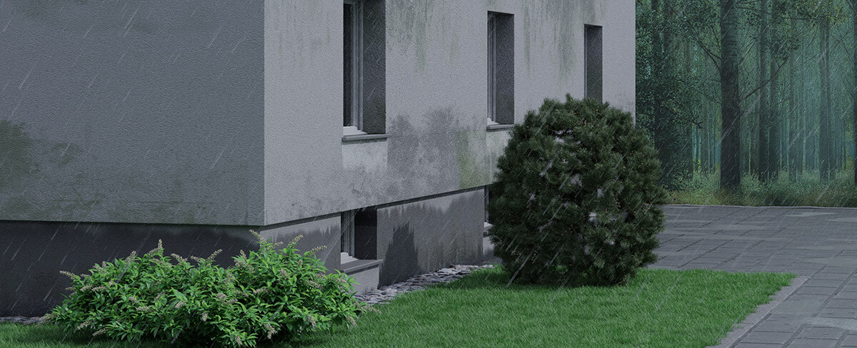 Langsam abtrocknende Feuchtigkeit ist ein Garant für Fassadenschäden Langsam abtrocknende Feuchtigkeit ist ein Garant für Fassadenschäden