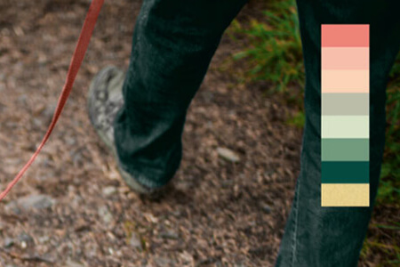 Trend 2018 – Farbwelt 1