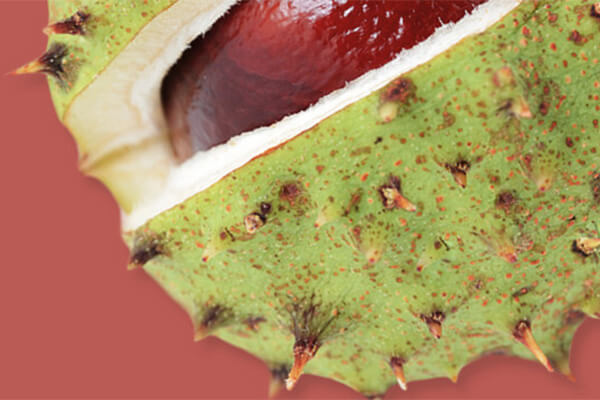 Fassadensysteme mit natürlicher Schutzfunktion