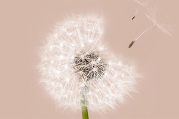 Wärmedämmverbundsysteme