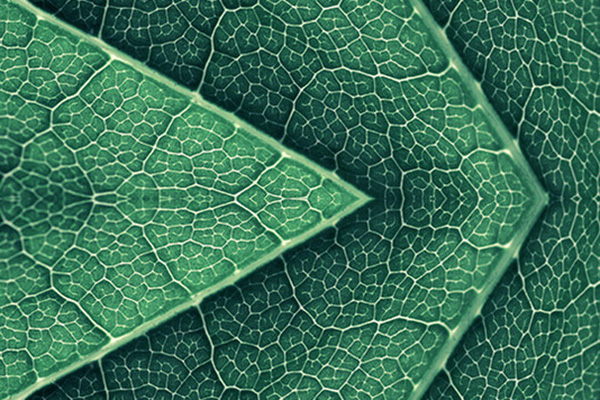 Zertifikate und Siegel