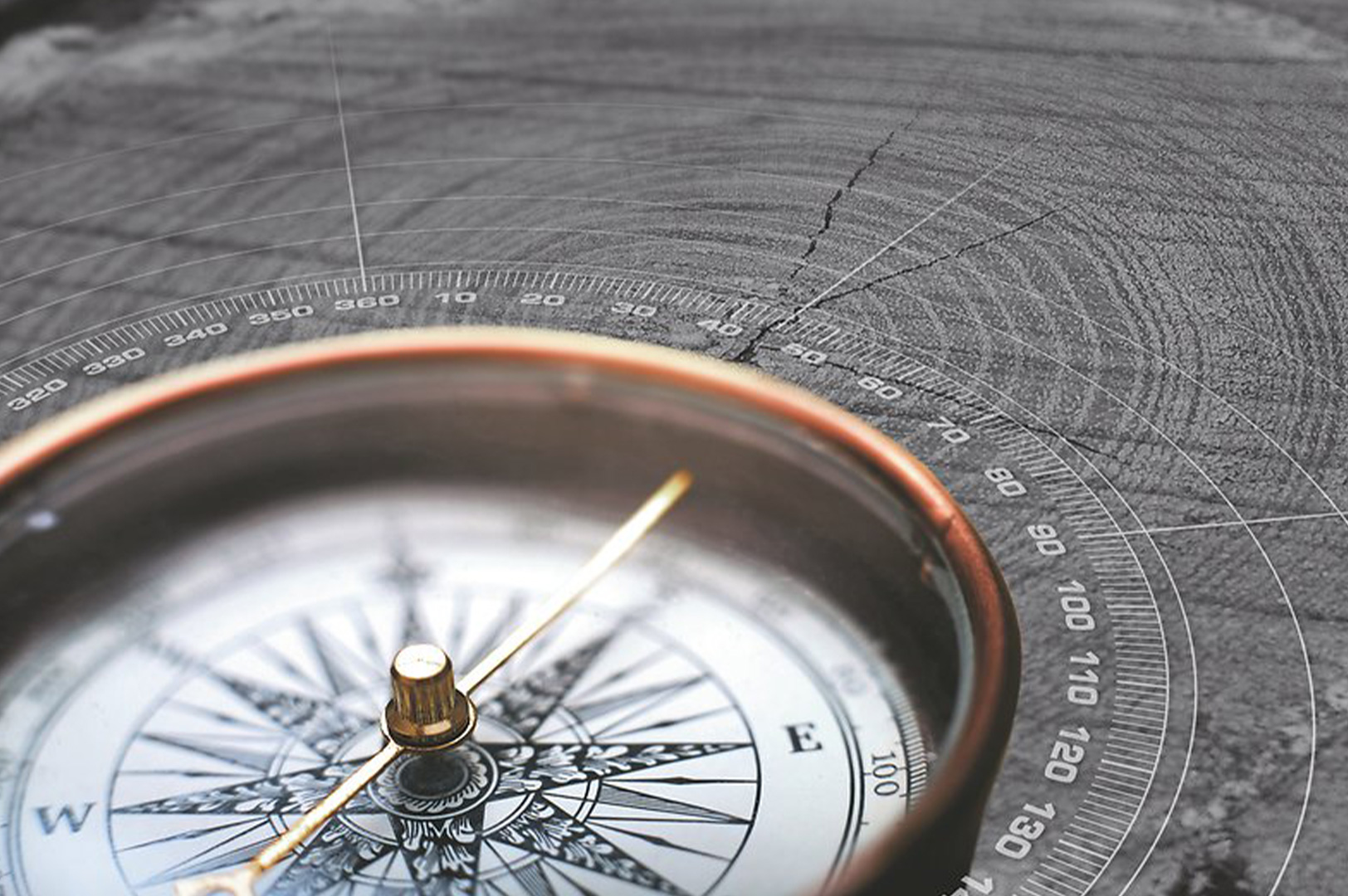 Nahaufnahme eines Kompasses, der auf einer grauen Holzscheibe liegt.