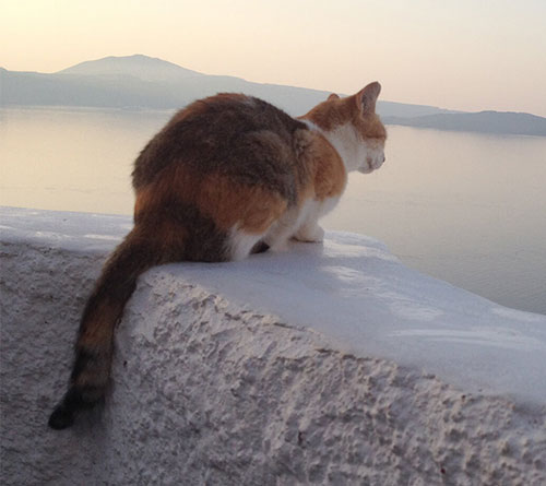 Colors around the world