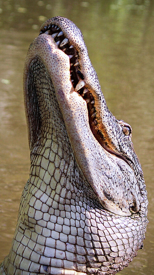 Fassade im Visier - VOL2