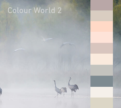 Colour World 2