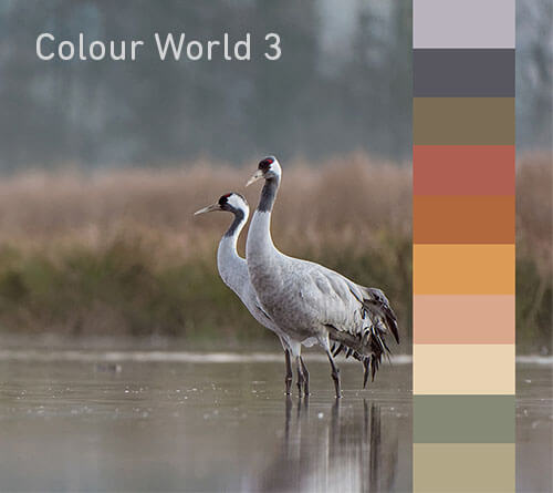 Colour World 3