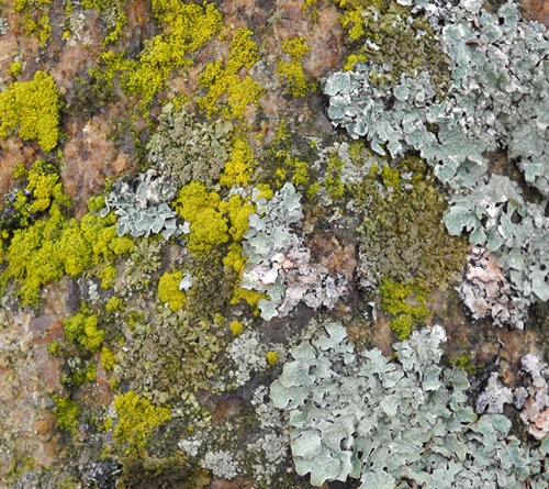 Woher kommen die Ideen?