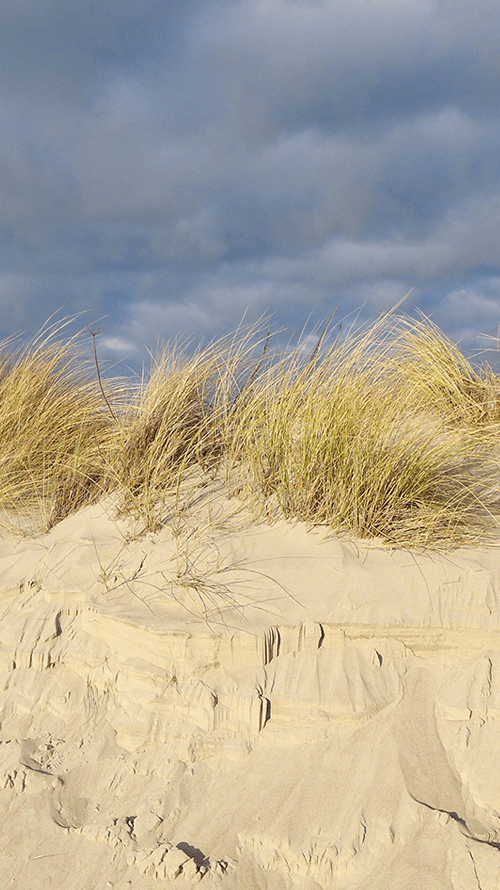 Moinmoin, Grüß Gott und Servus!