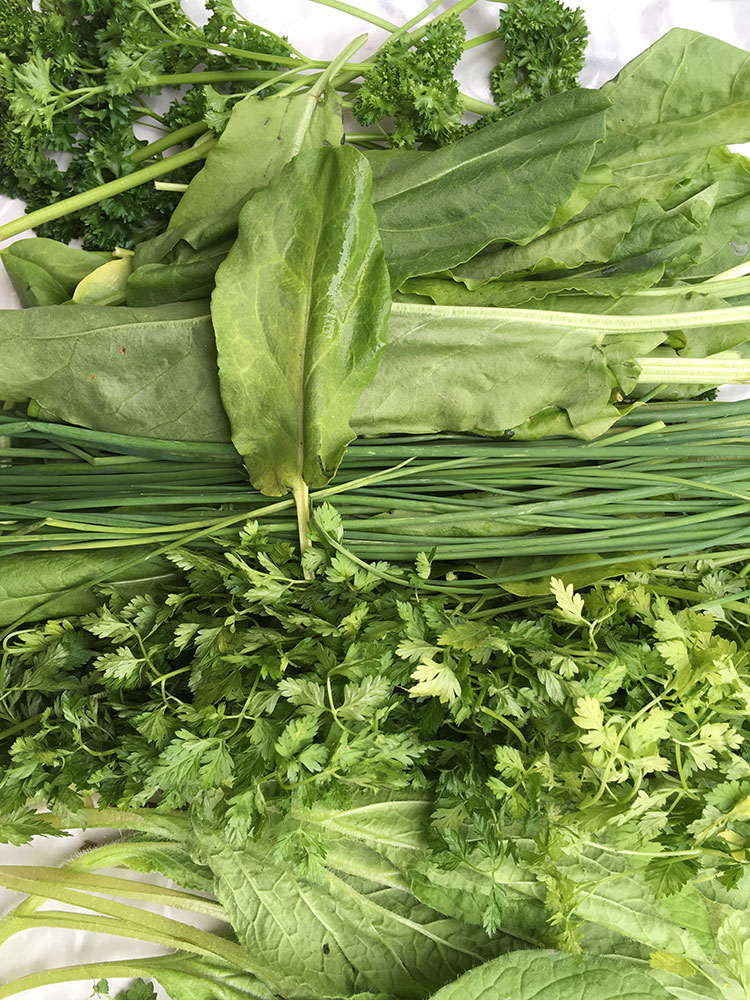 Wie grün ist das Grün der Grünen Soße?