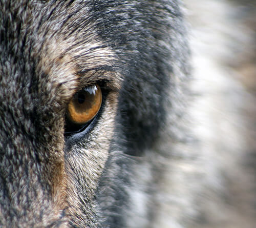 Von Menschen, Märchen und Mystik