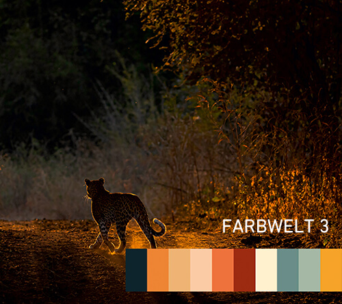 Farbwelt 3