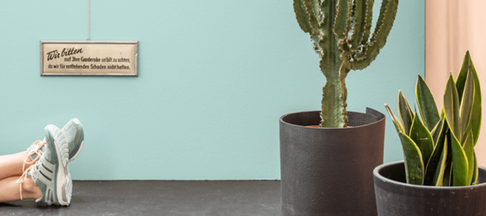 Sneakers – A Trend Emerges