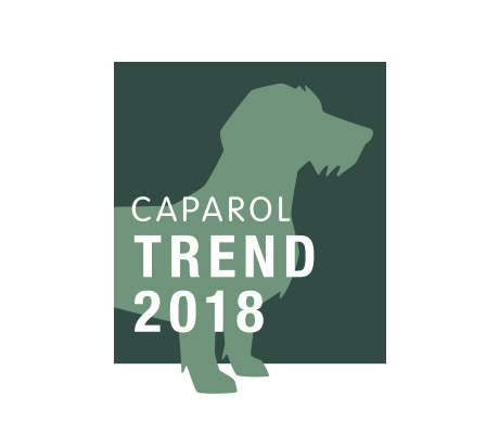 I'm also available in trend colors