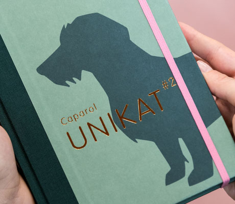 Caparol UNIKAT
			#2