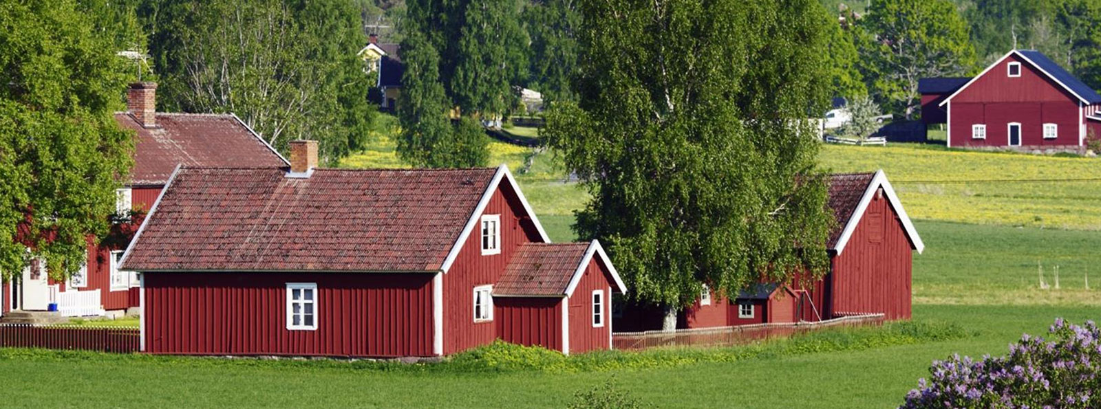 In Schweden finden wir das dort typische ROT an Holzfassaden