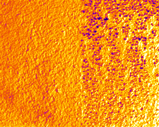 In the case of ThermoSan with NQG<sup>3</sup> technology, the moisture is virtually fully evaporated after 20 minutes, whereas the comparative paint still displays clearly recognizable moisture in the same period of time.<br/><br/>Left: ThermoSan mit NQG<sup>3</sup> technology after 20 minutes<br/>Right: Standard high-quality facade paint after 20 minutes